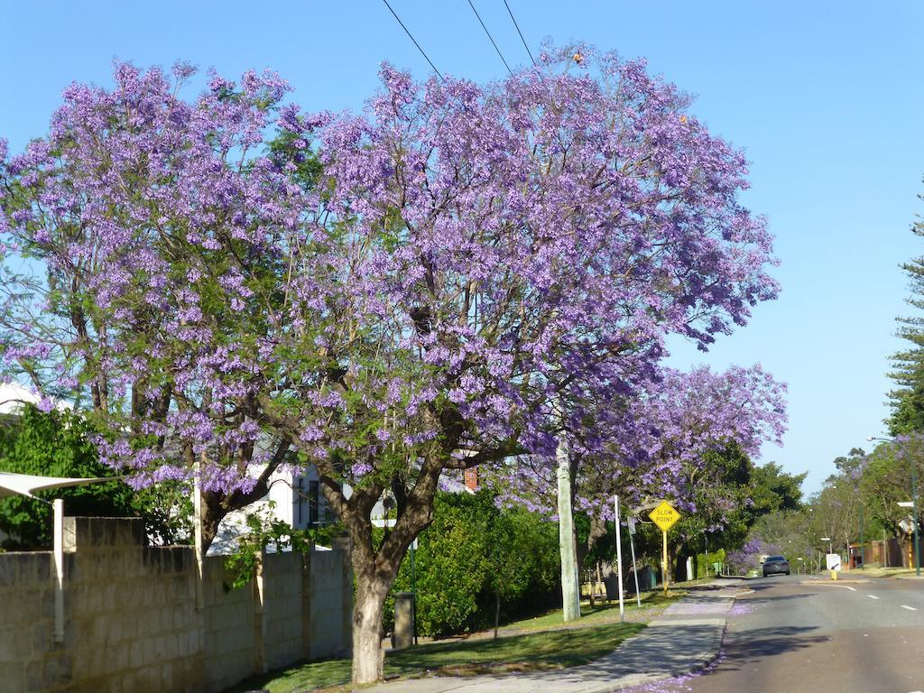 Lakeside Bed & Breakfast Perth Exterior foto